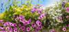Balkon - moderní barevné kombinace (PIXABAY)