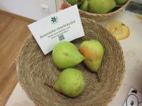 Hrušeň obecná 'Ananaska courtrayská' (Pyrus communis)