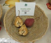 Hrušeň obecná 'Krvavka veliká' (Pyrus communis)