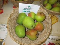 Hrušeň obecná 'Madame Treyve' (Pyrus communis)