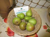 Hrušeň obecná 'Mortilletova' (Pyrus communis)