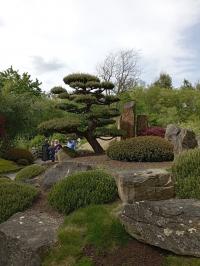 Japonská zahrada Mu-Shin - ZOO Lešná
