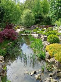 Japonská zahrada Mu-Shin - ZOO Lešná