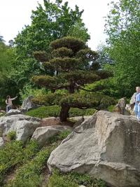 Japonská zahrada Mu-Shin - ZOO Lešná