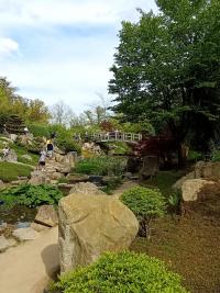 Japonská zahrada Mu-Shin - ZOO Lešná