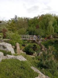 Japonská zahrada Mu-Shin - ZOO Lešná